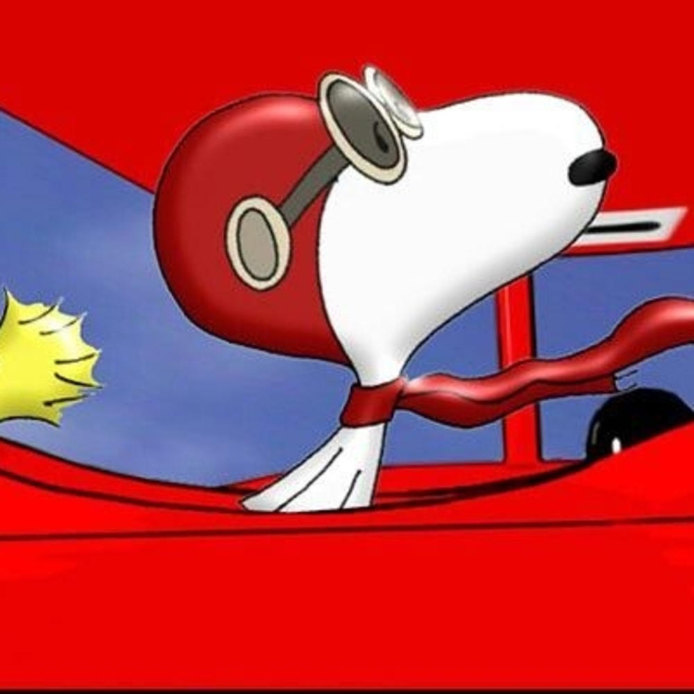 Snoopy and Friends Figurines - Picture 3 of 13